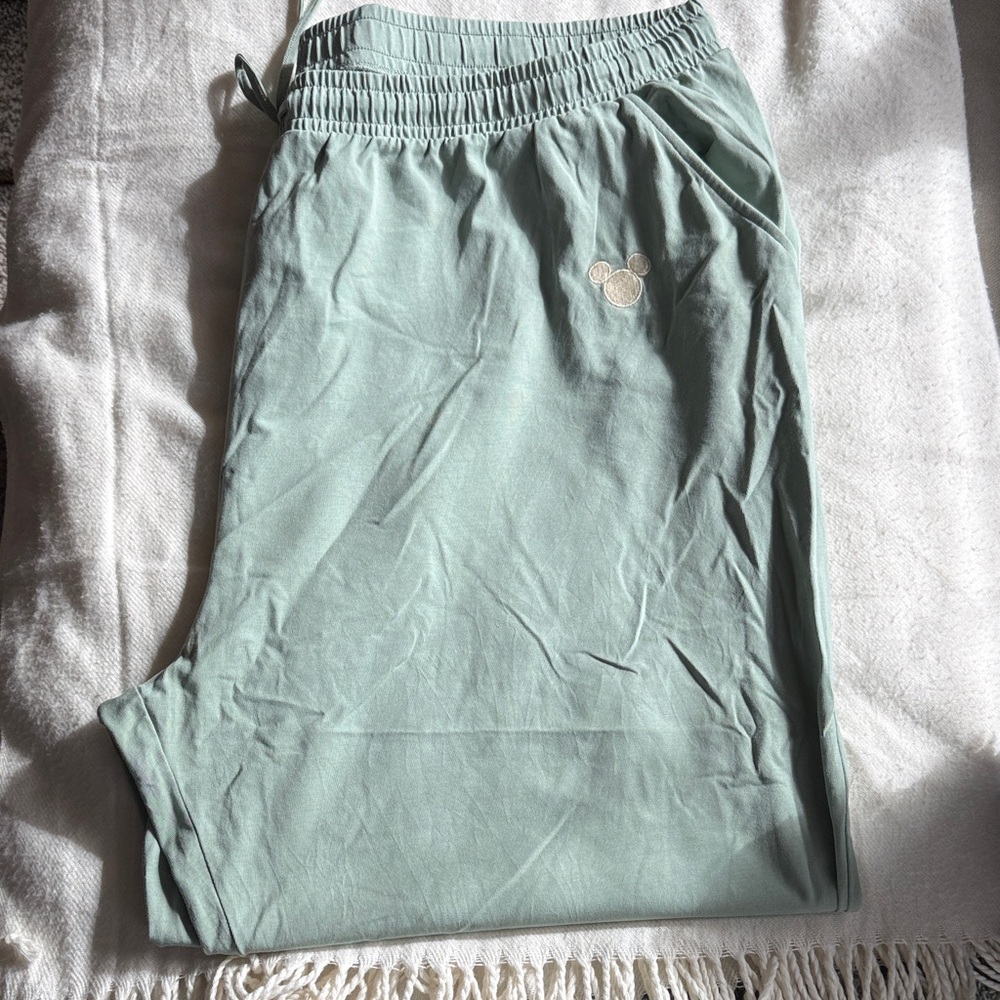 Women’s Disney Sage Green Jogger Pants.  Size 2X.  New never worn.